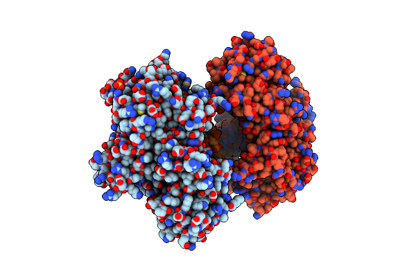 8SCI image