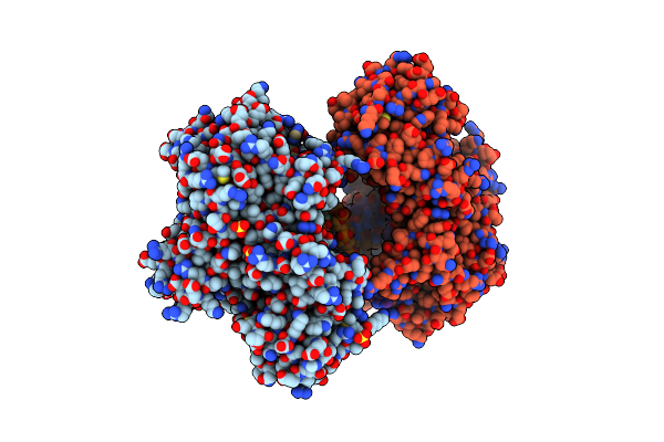 8SCM image