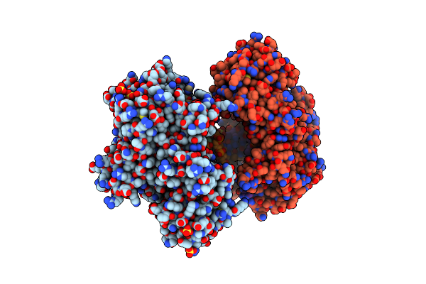 8SCT image