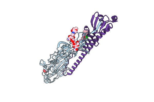 8SD2 image
