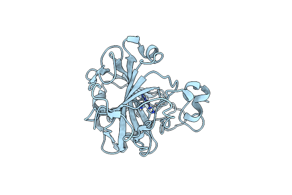 8SD6 image