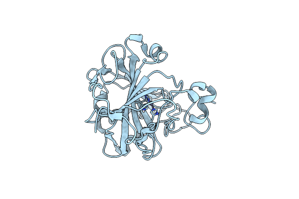 8SD8 image