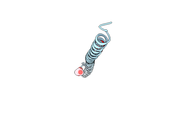 8SDE image
