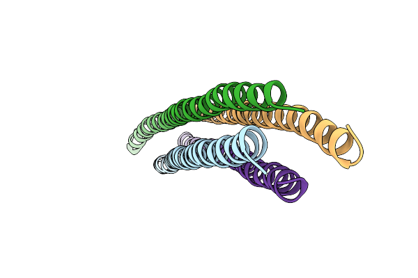 8SDI image