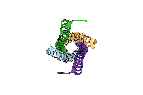8SDJ image
