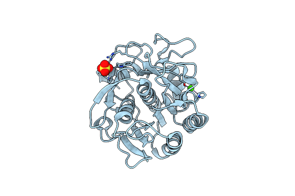 8SDK image