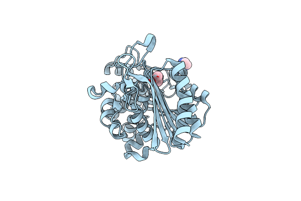 8SDL image