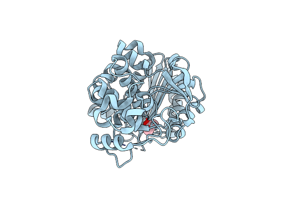 8SDN image