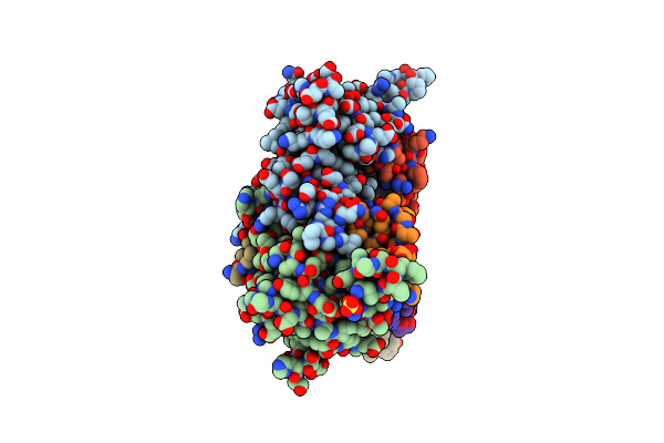 8SDP image