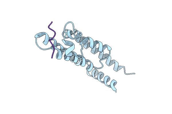 8SDQ image
