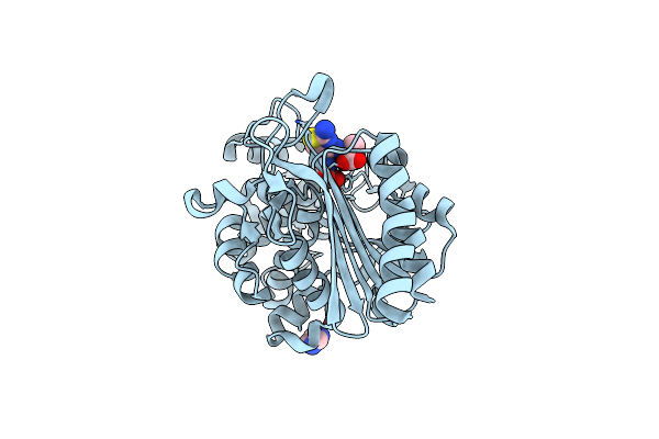 8SDS image