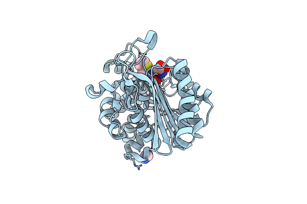 8SDT image