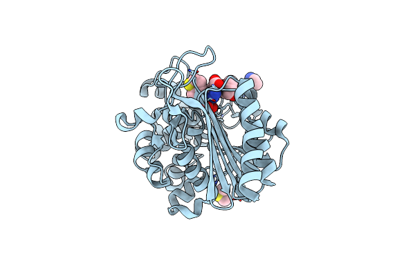 8SDV image