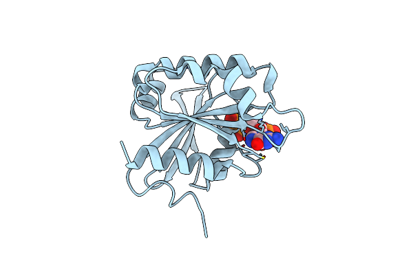 8SDW image