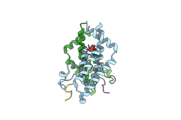 8SDX image