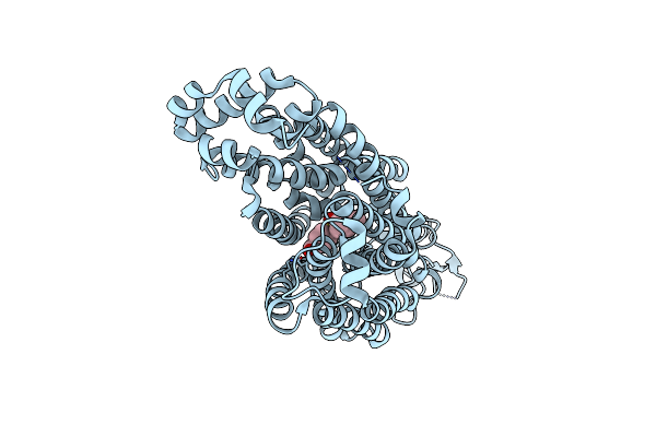 8SDZ image