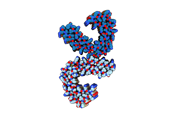 8SEI image