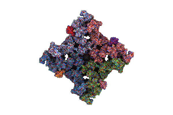 8SEN image