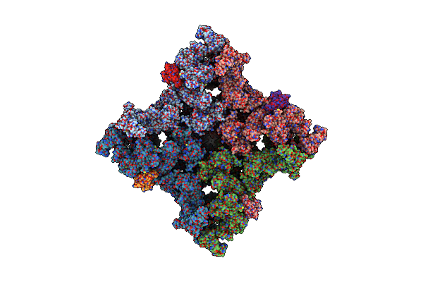 8SEQ image