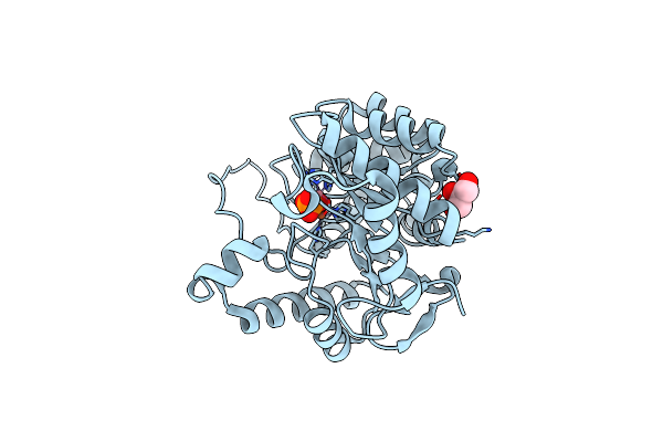 8SFB image