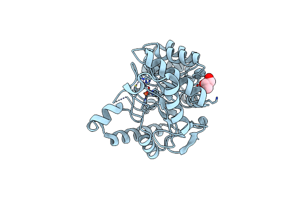 8SFC image