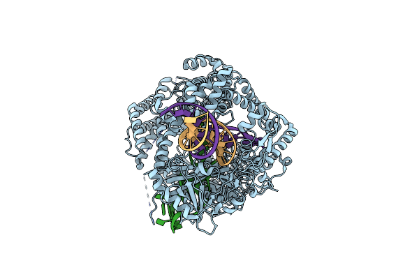 8SFI image
