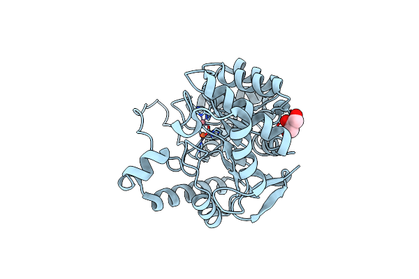 8SFK image