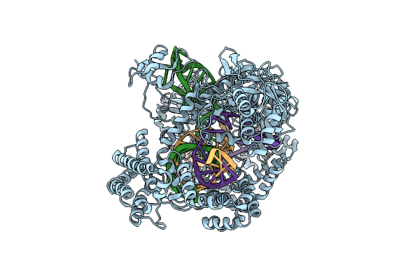 8SFN image