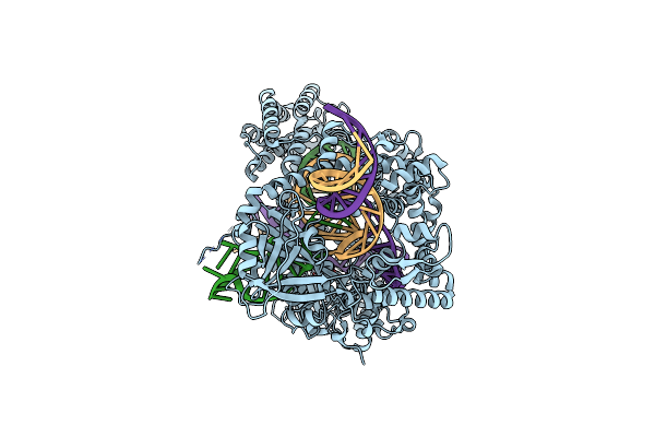 8SFO image