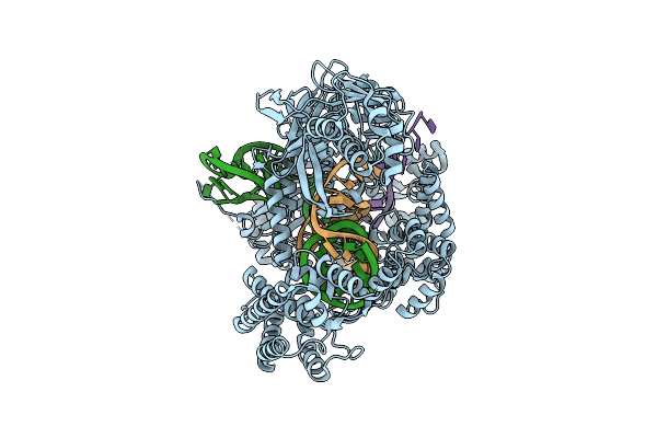 8SFP image