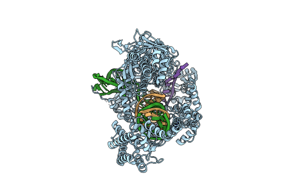 8SFR image