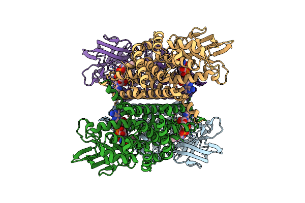 8SGR image