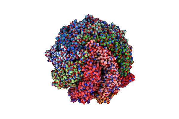 8SHD image
