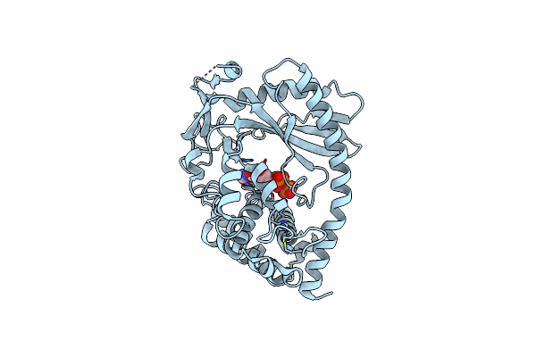 8SHK image