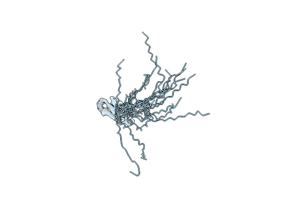 8SHM image