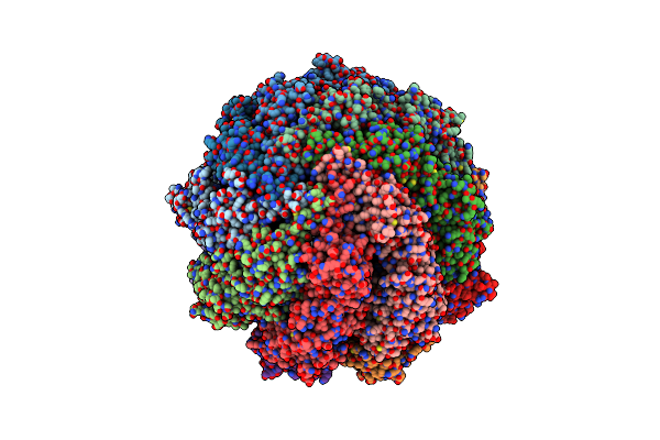 8SHN image