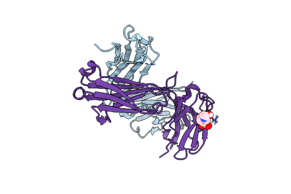8SHV image