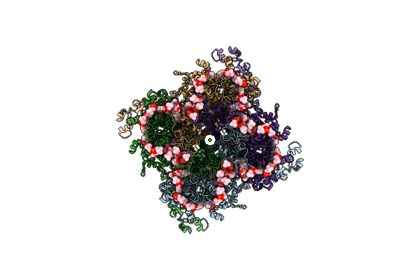 8SI8 image