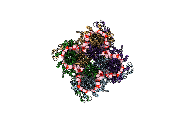 8SIA image