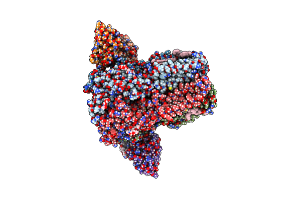 8SID image