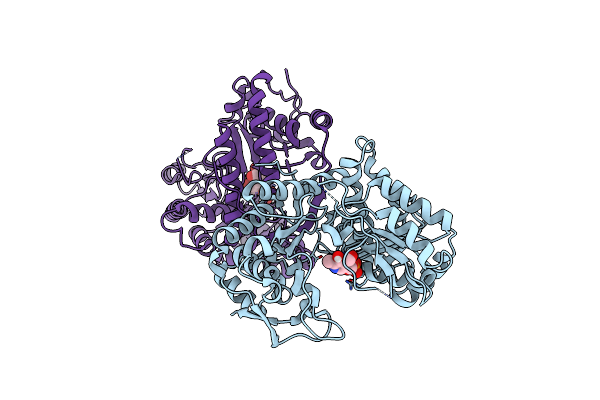 8SIJ image