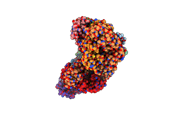 8SIT image