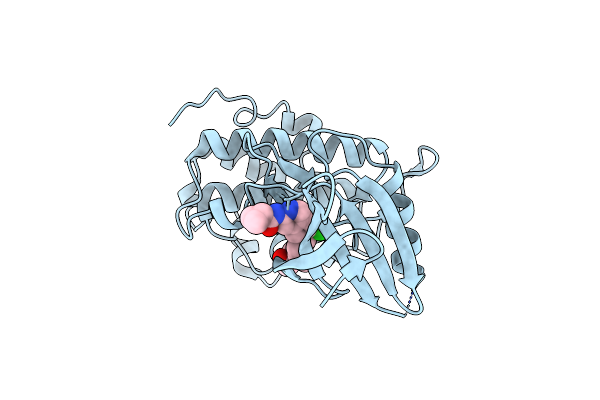 8SIV image