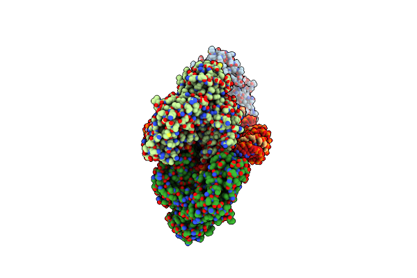 8SJD image