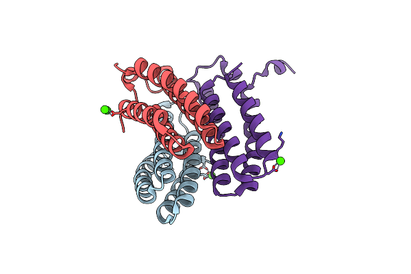 8SJI image