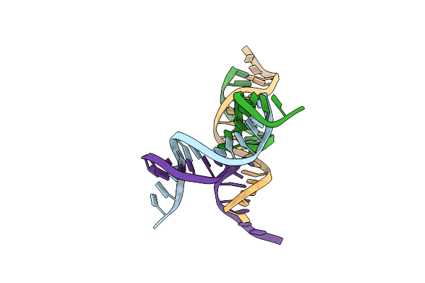 8SJO image