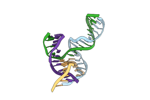 8SJS image