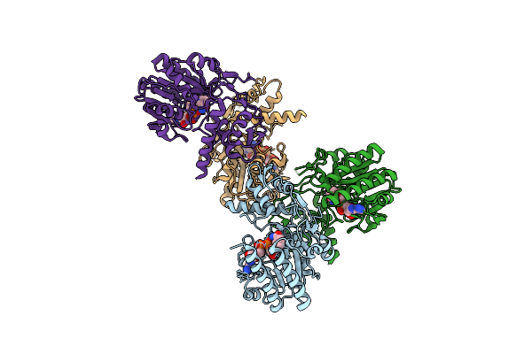 8SKB image