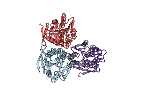 8SKM image