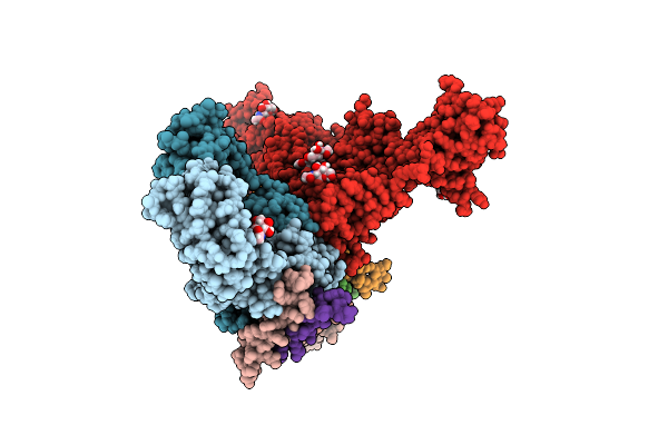 8SKV image